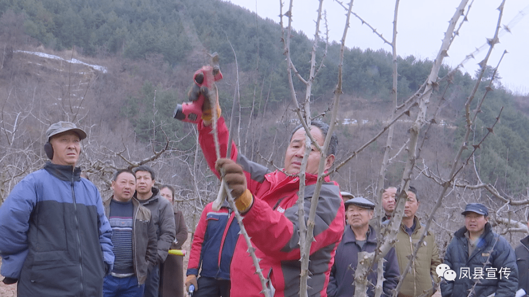 苹果版抢庄牛牛
:宝鸡凤县“科技赋能乡村振兴系列活动”启动-第3张图片-太平洋在线下载