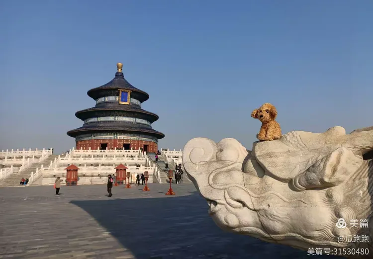 天坛之眼安卓破解版下载(天坛之眼第一关 过关攻略大全)-第5张图片-QuickQ官网 天坛之眼安卓破解版下载(天坛之眼第一关 过关攻略大全)-第5张图片-QuickQ官网