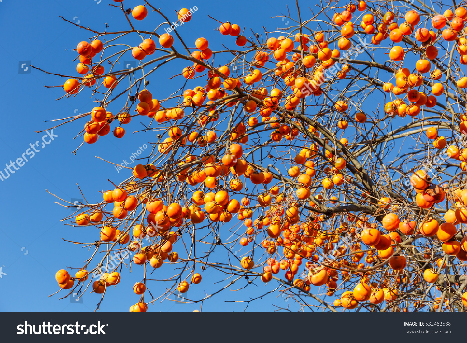 gumtree苹果版(gumtree app下载)-第3张图片-QuickQ官网