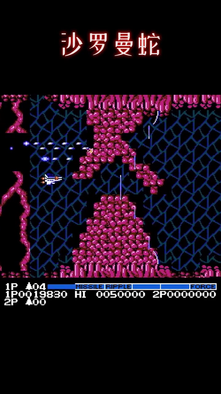 沙罗曼蛇无敌手机版(沙罗曼蛇无限命手机版下载)-第5张图片-QuickQ官网 沙罗曼蛇无敌手机版(沙罗曼蛇无限命手机版下载)-第5张图片-QuickQ官网